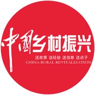 中国乡村振兴抖音达人头像