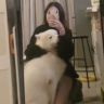 龙离谱抖音达人头像