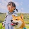 柴犬小乖抖音达人头像
