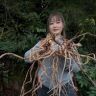 岐黄小曾【深山解药】抖音达人头像