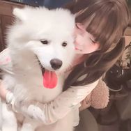 打工赚钱养小狗抖音达人头像