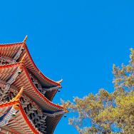 菩瑶若梦澜兮抖音号头像