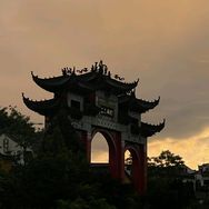 白鸽♠️抖音达人头像