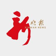 新晚报抖音达人头像