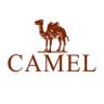 骆驼户外跑步旗舰店抖音达人头像