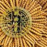 西藏旺姆冬虫夏草抖音达人头像