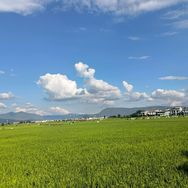 雷三哥抖音达人头像
