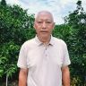 张国金抖音达人头像