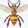 山炮户外抖音达人头像