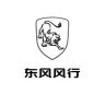 东风风行抖音达人头像