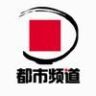 河南都市频道抖音达人头像