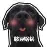 家有憨帅抖音达人头像