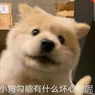 一只桶抖音达人头像