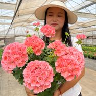零零花园抖音达人头像