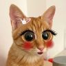 两个人是只猫抖音达人头像