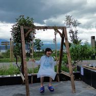 小风（甲易丙丁）抖音达人头像