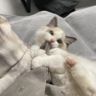 韩冰抖音达人头像