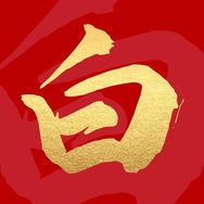 老白分析室抖音达人头像