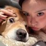 我是帅哥林奈果抖音达人头像
