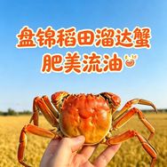 稻田溜达蟹🦀明天吃抖音达人头像