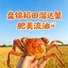 稻田溜达蟹🦀明天吃抖音达人头像