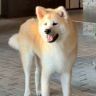 大福君抖音达人头像