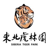 黑龙江东北虎林园抖音达人头像