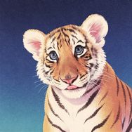 大猫日记🐯抖音达人头像