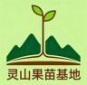 盛醉旺抖音达人头像