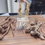 长白山固延堂泡酒原材料抖音达人头像