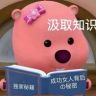 雪顶小福娃抖音达人头像