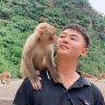 猴小匡抖音达人头像
