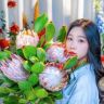 花五鲜花抖音达人头像