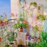 四时花语抖音达人头像