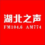 湖北之声抖音达人头像
