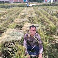 严元江乡村集市（80后村干部）抖音达人头像