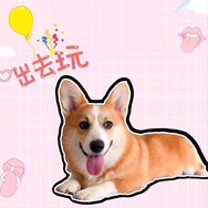佛系短腿吴所谓抖音达人头像