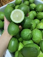 柠鲜优选抖音号头像