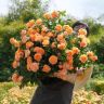 海蒂的花园生活号抖音达人头像