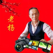 老杨混剪抖音达人头像