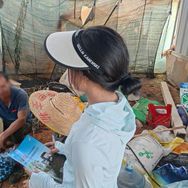 种下好晴天抖音达人头像