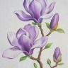 玉兰优品（花花）抖音达人头像