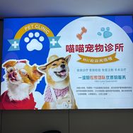义乌市喵喵宠物诊所（乡村兽医老五）抖音达人头像