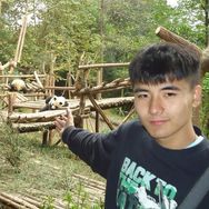 阿秋的熊猫日记抖音达人头像