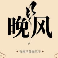 晚风溶媒（主页看全集）抖音达人头像
