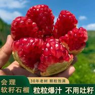 甜甜石榴《美洋洋》抖音达人头像