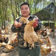 老四农人抖音达人头像
