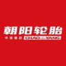 朝阳电动车旗舰店抖音达人头像