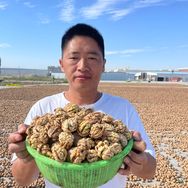 鲁家果源坚果旗舰店抖音达人头像