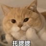 懒阳阳抖音达人头像